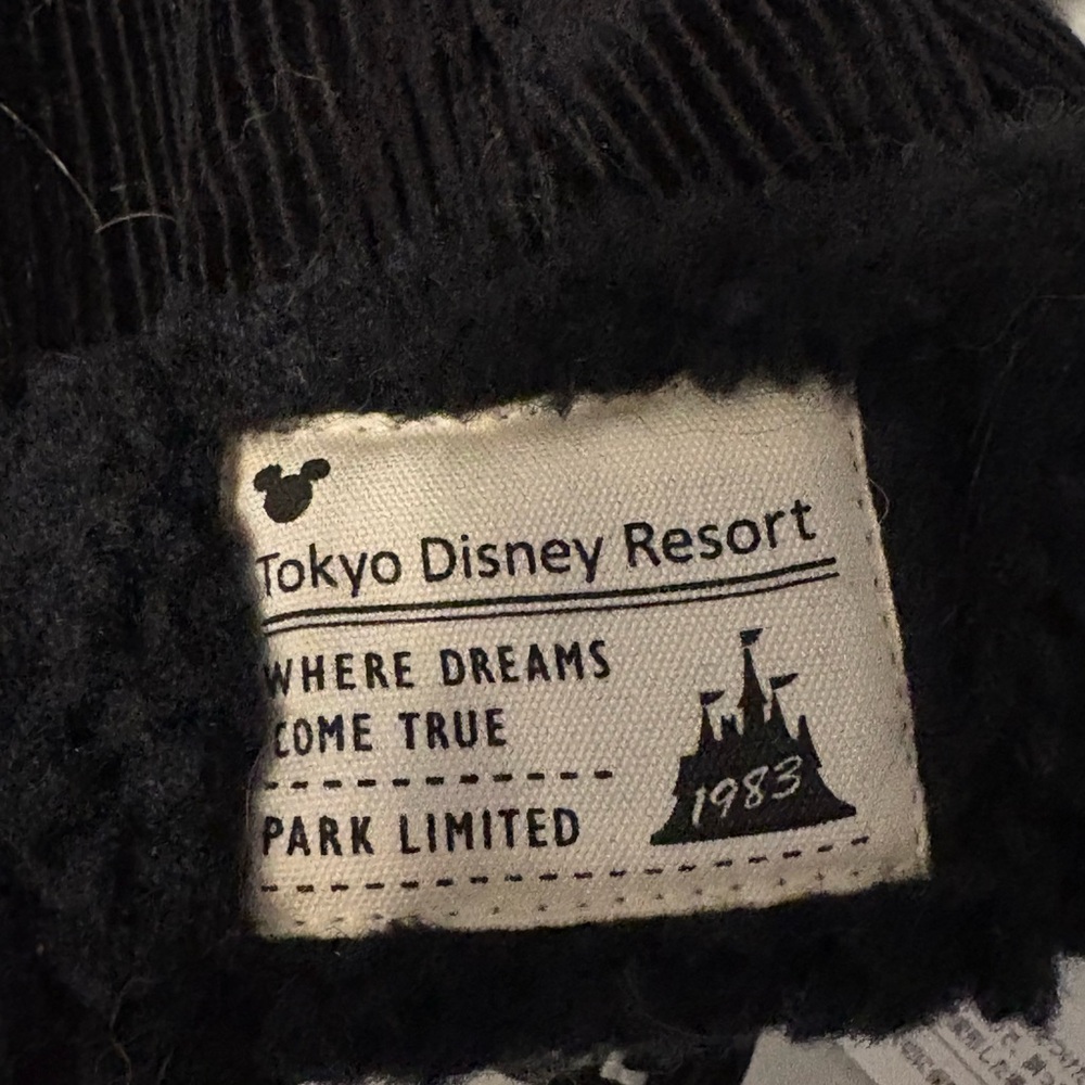 Tokyo Disney Hat